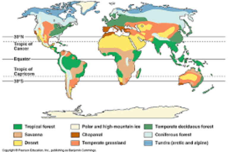 https //www.biology corner.com/ worksheets/biome_map.html